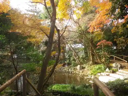 鶴岡八幡宮の庭園