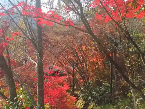 覚性律庵(滋賀県)