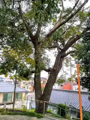 神明社（鳥栖神明社）のその他建物