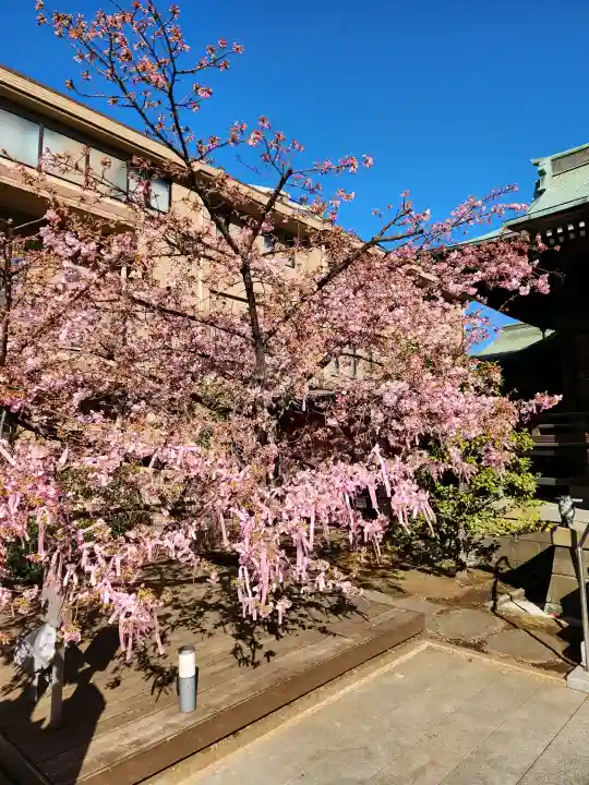 桜神宮の{uncategorized: "未分類", other: "その他", undefined: "問題あり", building: "その他建物", grave: "お墓", sacred_gate: "鳥居", guardian: "狛犬", statue: "像", buddha: "仏像", history: "歴史", nature: "自然", garden: "庭園", animal: "動物", pagoda: "塔", temizu: "手水舎", mountain_gate: "山門・神門", sanctuary: "本殿・本堂", subordinate: "末社・摂社", art: "芸術", scenery: "景色", jizo: "地蔵", ema: "絵馬", goshuin: "御朱印", omikuji: "おみくじ", items: "授与品その他", amulet: "お守り", goshuincho: "御朱印帳", eats: "食事", festival: "お祭り", votive_dance: "神楽", shichigosan: "七五三参", wedding: "結婚式", experience: "体験その他", initially: "初詣", around: "周辺", anti_infection: "感染症対策"}