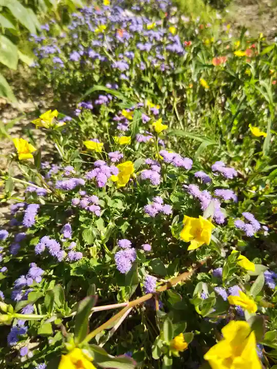 高司神社〜むすびの神の鎮まる社〜の自然