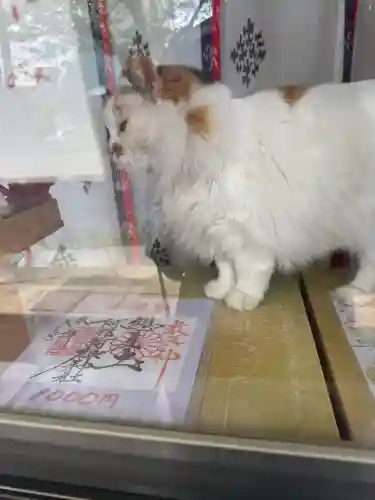 阿邪訶根神社の{uncategorized: "未分類", other: "その他", undefined: "問題あり", building: "その他建物", grave: "お墓", sacred_gate: "鳥居", guardian: "狛犬", statue: "像", buddha: "仏像", history: "歴史", nature: "自然", garden: "庭園", animal: "動物", pagoda: "塔", temizu: "手水舎", mountain_gate: "山門・神門", sanctuary: "本殿・本堂", subordinate: "末社・摂社", art: "芸術", scenery: "景色", jizo: "地蔵", ema: "絵馬", goshuin: "御朱印", omikuji: "おみくじ", items: "授与品その他", amulet: "お守り", goshuincho: "御朱印帳", eats: "食事", festival: "お祭り", votive_dance: "神楽", shichigosan: "七五三参", wedding: "結婚式", experience: "体験その他", initially: "初詣", around: "周辺", anti_infection: "感染症対策"}