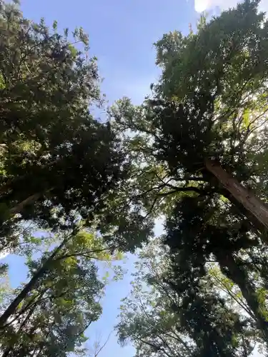 小室浅間神社(山梨県)