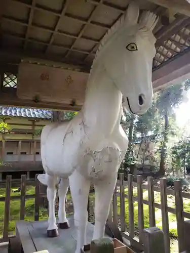 大野湊神社の狛犬