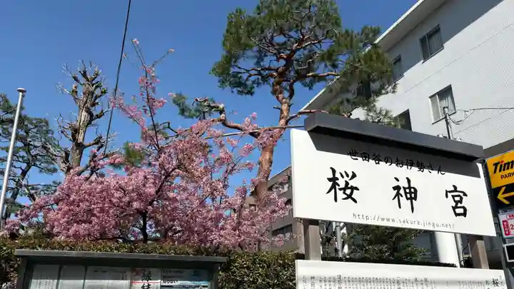 桜神宮(東京都)