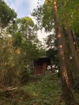 富士浅間大権現(千葉県)