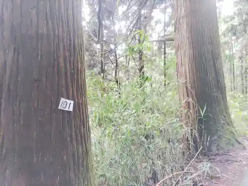 武蔵御嶽神社(東京都)