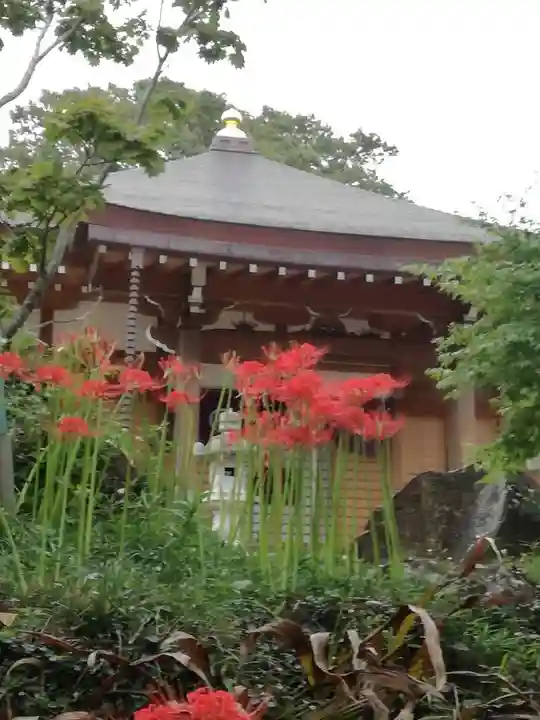 一乗院(開運出世筑波不動尊) の自然