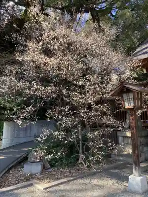 乃木神社の自然