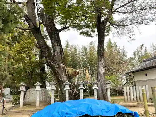 牟佐神社(滋賀県)