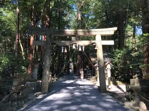 椿大神社の鳥居