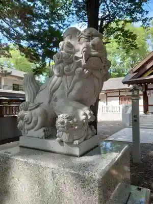 新琴似神社の狛犬