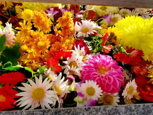 豊景神社の手水舎