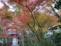 善法律寺(京都府)