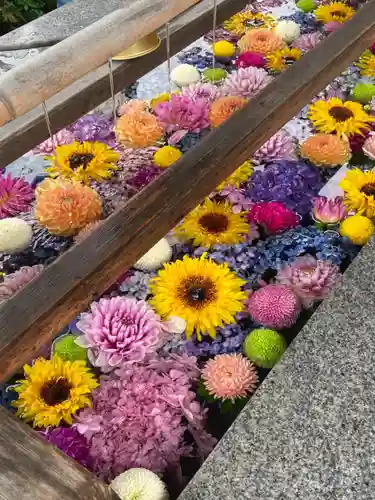 豊景神社の手水