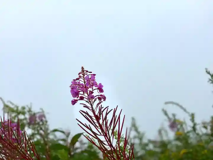 飯縄神社 奥社(長野県)