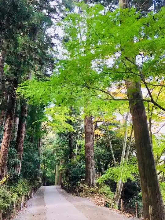 中尊寺本堂の自然