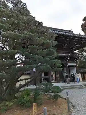 梅宮大社の山門・神門