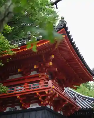 金剛宝寺(紀三井寺)の{uncategorized: "未分類", other: "その他", undefined: "問題あり", building: "その他建物", grave: "お墓", sacred_gate: "鳥居", guardian: "狛犬", statue: "像", buddha: "仏像", history: "歴史", nature: "自然", garden: "庭園", animal: "動物", pagoda: "塔", temizu: "手水舎", mountain_gate: "山門・神門", sanctuary: "本殿・本堂", subordinate: "末社・摂社", art: "芸術", scenery: "景色", jizo: "地蔵", ema: "絵馬", goshuin: "御朱印", omikuji: "おみくじ", items: "授与品その他", amulet: "お守り", goshuincho: "御朱印帳", eats: "食事", festival: "お祭り", votive_dance: "神楽", shichigosan: "七五三参", wedding: "結婚式", experience: "体験その他", initially: "初詣", around: "周辺", anti_infection: "感染症対策"}