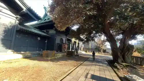 湯島聖堂(東京都)