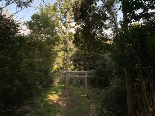 熊野神社の鳥居