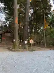 間々田八幡宮の自然