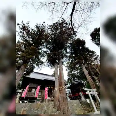 高司神社〜むすびの神の鎮まる社〜のその他建物