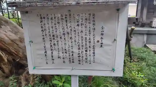 金山神社(神奈川県)