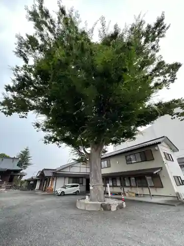 三嶋神社(福島県)