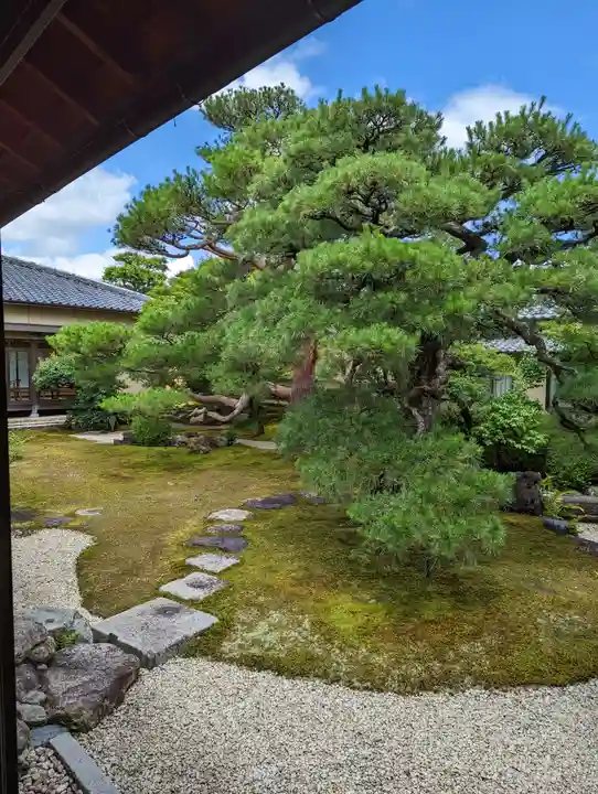 妙顯寺(妙顕寺)(京都府)