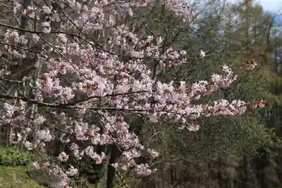 有珠善光寺の自然