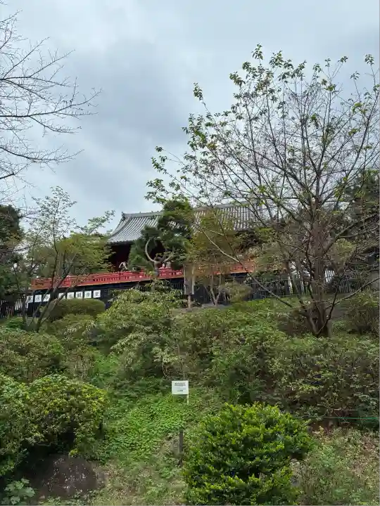 清水観音堂(東京都)