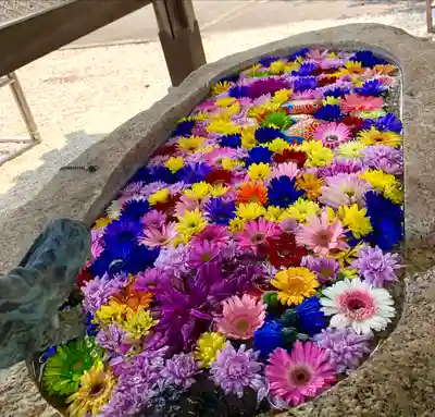 金井神社の手水舎