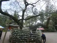 高麗神社(埼玉県)