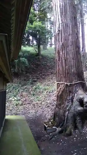 主石神社のその他建物