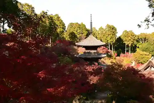 常樂寺(滋賀県)