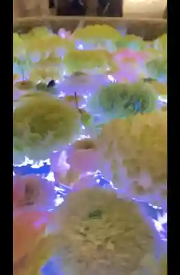 行田八幡神社の{uncategorized: "未分類", other: "その他", undefined: "問題あり", building: "その他建物", grave: "お墓", sacred_gate: "鳥居", guardian: "狛犬", statue: "像", buddha: "仏像", history: "歴史", nature: "自然", garden: "庭園", animal: "動物", pagoda: "塔", temizu: "手水舎", mountain_gate: "山門・神門", sanctuary: "本殿・本堂", subordinate: "末社・摂社", art: "芸術", scenery: "景色", jizo: "地蔵", ema: "絵馬", goshuin: "御朱印", omikuji: "おみくじ", items: "授与品その他", amulet: "お守り", goshuincho: "御朱印帳", eats: "食事", festival: "お祭り", votive_dance: "神楽", shichigosan: "七五三参", wedding: "結婚式", experience: "体験その他", initially: "初詣", around: "周辺", anti_infection: "感染症対策"}