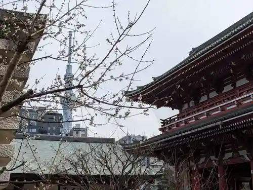 浅草寺の景色