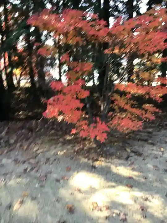 滑川神社 - 仕事と子どもの守り神の自然