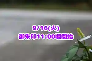 くまくま神社(導きの社 熊野町熊野神社)(東京都) 2025年09月16日(火)〜(2025年09月15日(月) 19時29分38秒投稿)