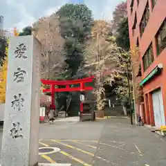 愛宕神社の鳥居