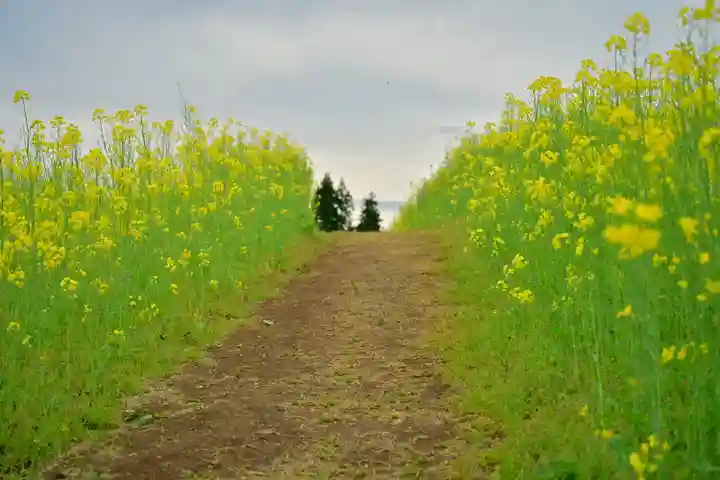 沢山神社(澤山神社)(新潟県)