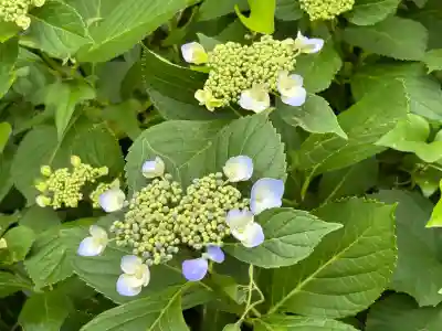 長野縣護國神社(長野県)