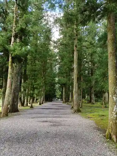 大斎原（熊野本宮大社旧社地）の景色