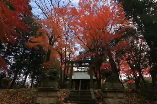 國祖神社の景色