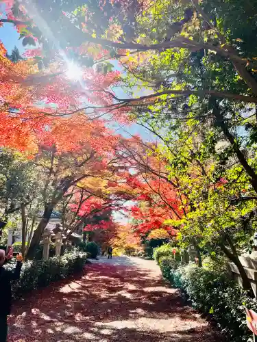 胡宮神社（敏満寺史跡）(滋賀県)