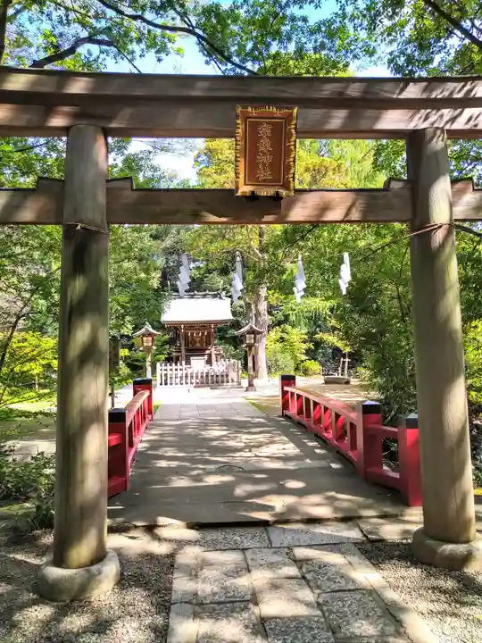 武蔵一宮氷川神社(埼玉県)