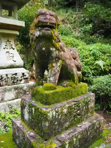神峯神社の狛犬