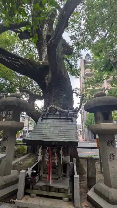 若一神社(京都府)