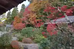 南禅寺(京都府)